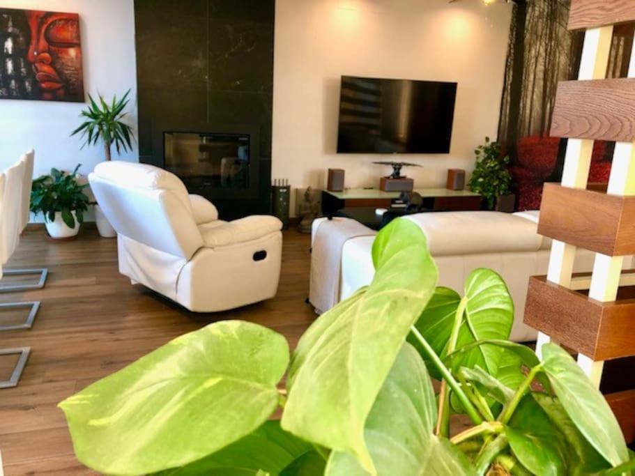 Hotel Modern Zen Bali Puerto Real Zewnętrze zdjęcie